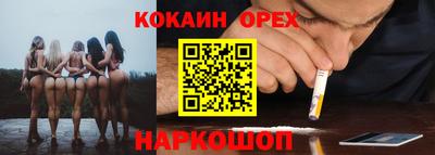гашик Новодвинск