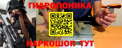 гашик Новодвинск
