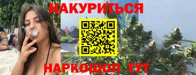 индика Новозыбков