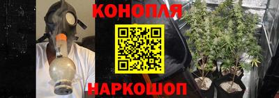 гашик Новодвинск